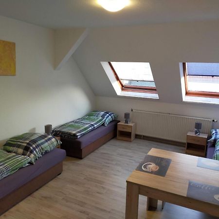 Flex Aparts - Grosse, Moeblierte Wohnung In Zwickau Mit 2 Zimmern Exteriör bild