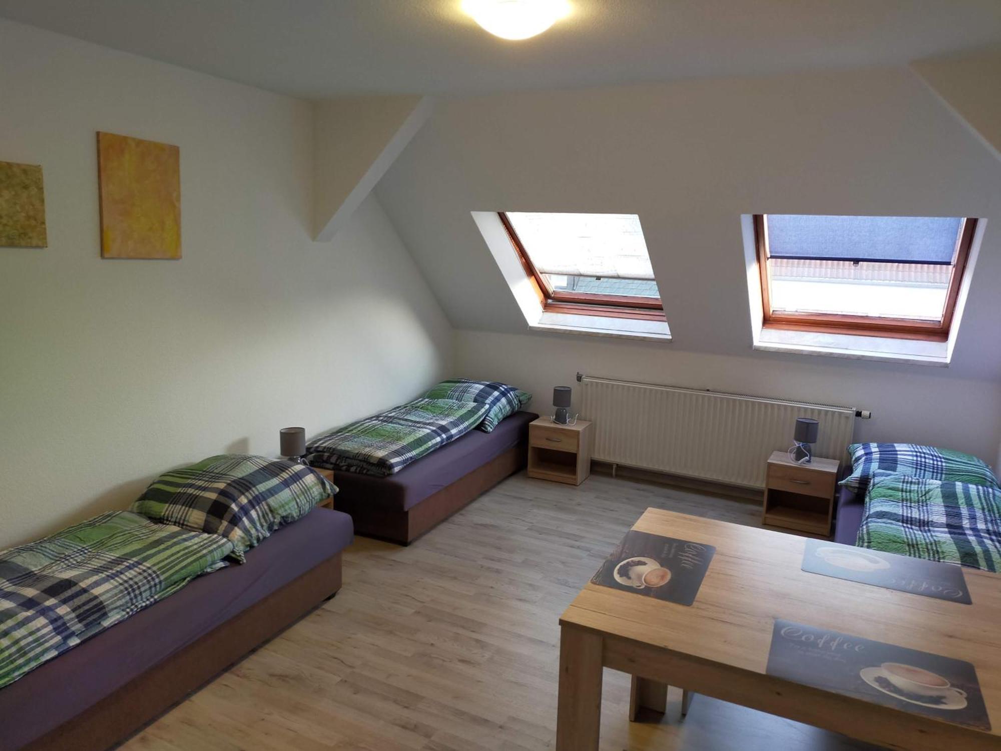 Flex Aparts - Grosse, Moeblierte Wohnung In Zwickau Mit 2 Zimmern Exteriör bild