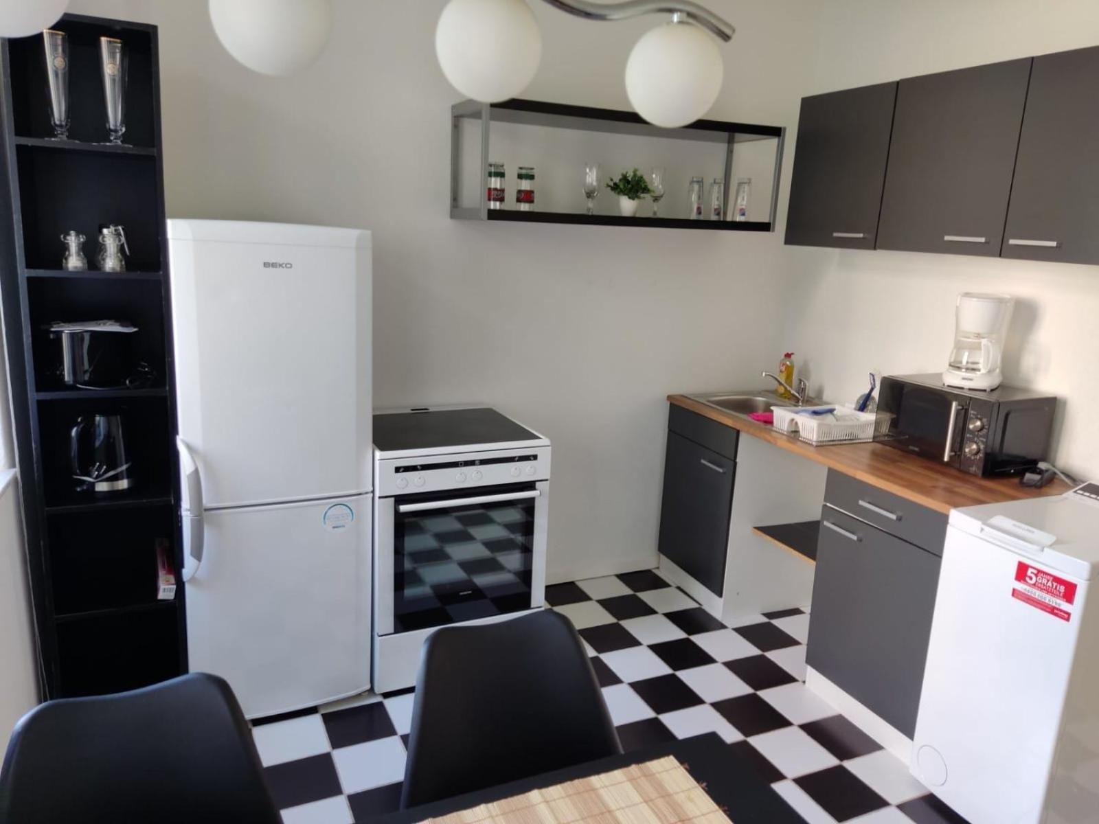 Flex Aparts - Grosse, Moeblierte Wohnung In Zwickau Mit 2 Zimmern Exteriör bild